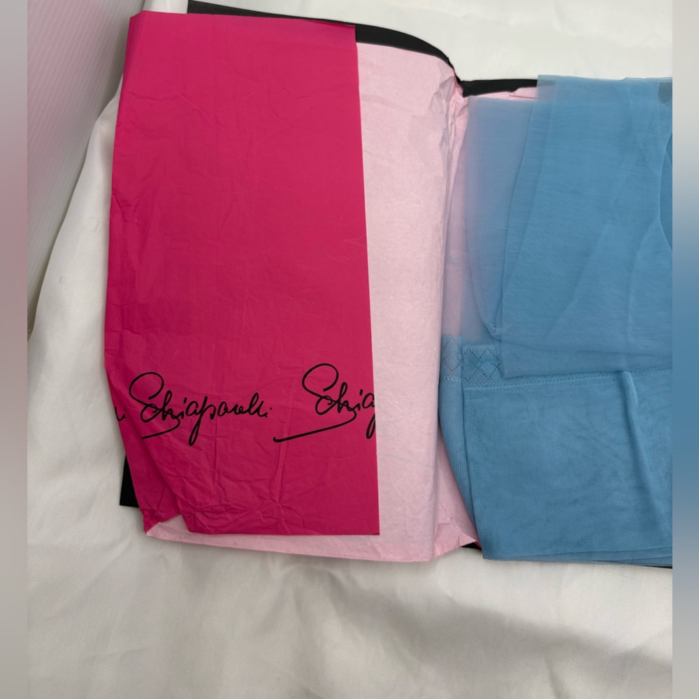 Vintage Schiaparelli Powder Blue Nylon Stockings NOS w Original Box & Sig Tissue